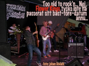 flowerkings-gbg2012B