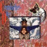 crumbacher-duke-worlds