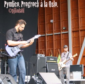 Pymlico-artrock-Lidk2013